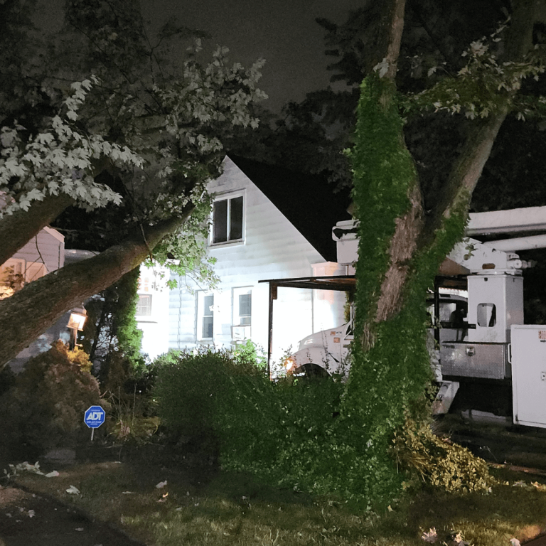 emergency tree service in howell mi