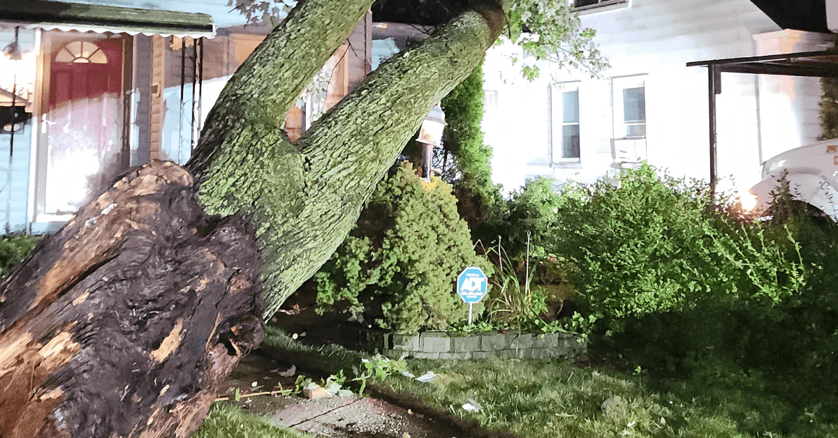 Tree Service Livonia, MI