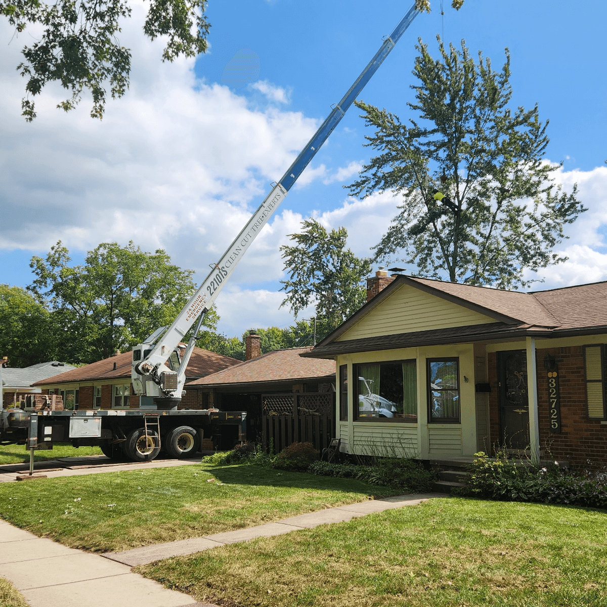 Crane-assisted tree removal at a residential property in Novi, MI