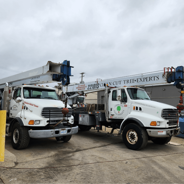 tree service in Brighton MI