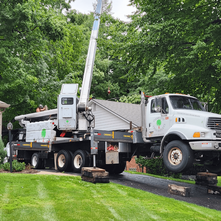 Clean Cut tree removal crew in Bloomfield Hills MI
