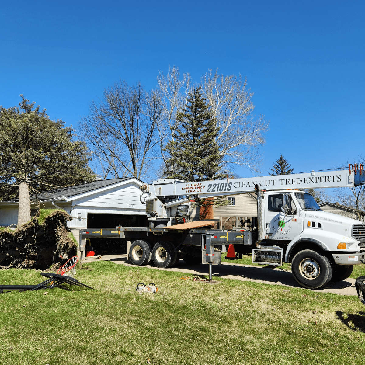 Clean Cut Tree Experts crew removing a large tree from a residential property in Howell, MI
