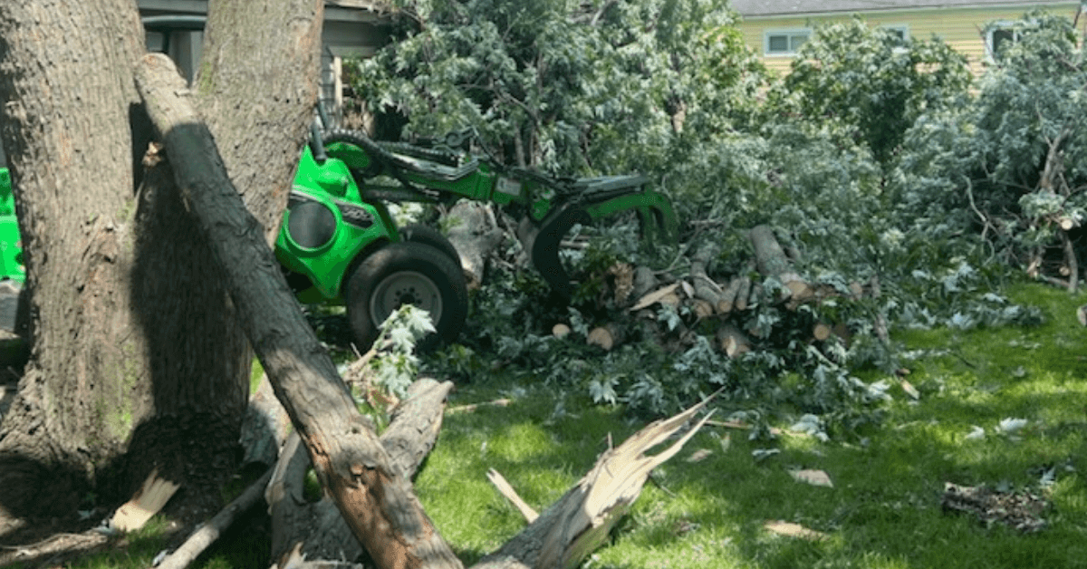 Professional Tree Removal in Farmington Hills, MI