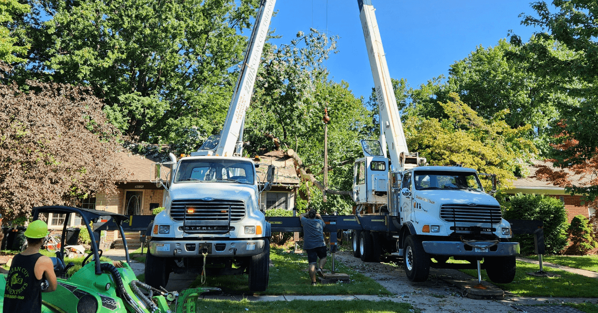 Clean Cut Tree Experts crew using cranes, loaders, and bucket trucks for safe tree removal and trimming in Howell, Michigan.
