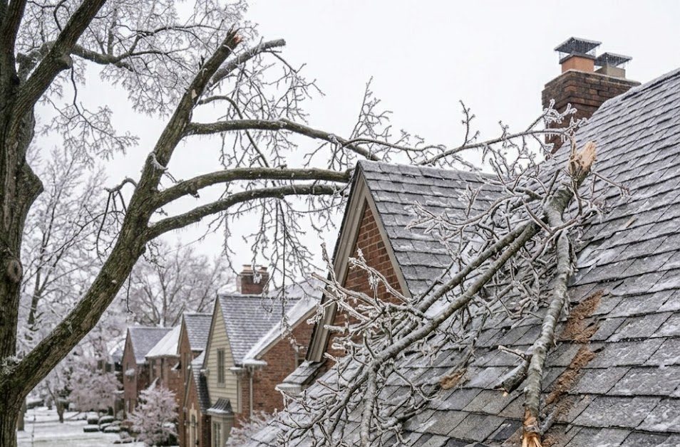 Oak branches scraping asphalt shingles Farmington Hills MI roof